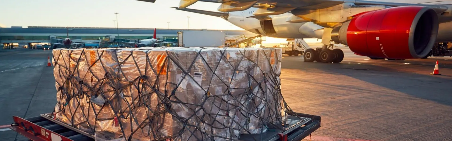 Professional Air Cargo Space Management & Booking Solutions service